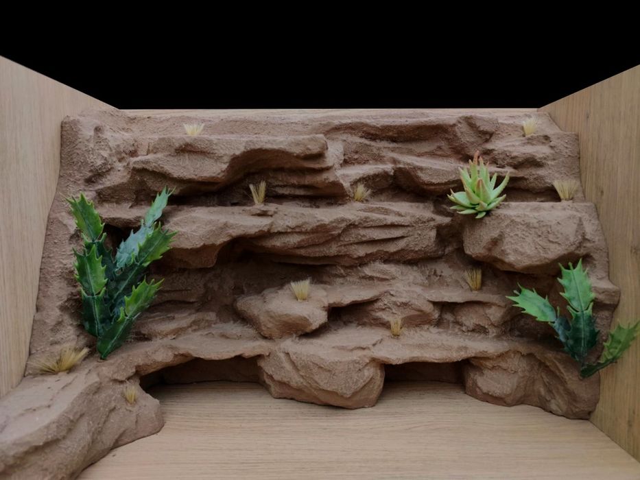 Terrarium gekon lamparci