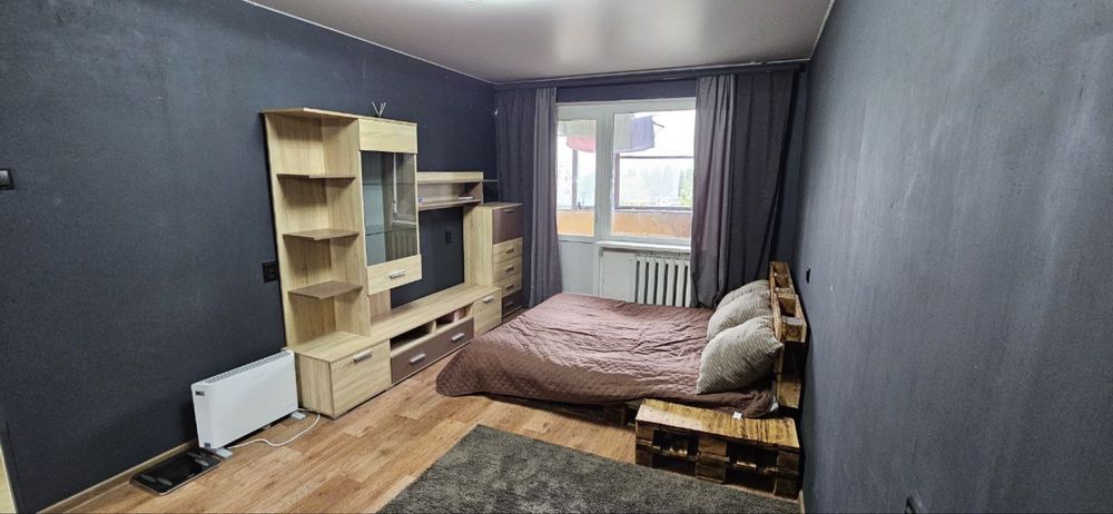 Чешка в кирпичном доме на Поселке Котовского с мебелью и техникой