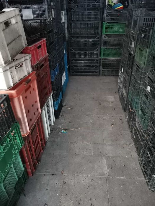 Skrzynki na owoce warzywa do garażu
