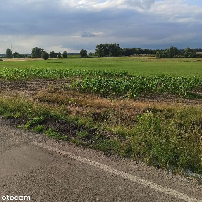 NOWA CENA 80 zł/m2 Działki inwestycyjne Kościan 5533 m² - Widok 4