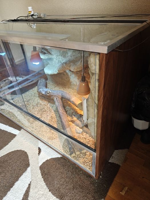 Duże terrarium 125x82x82