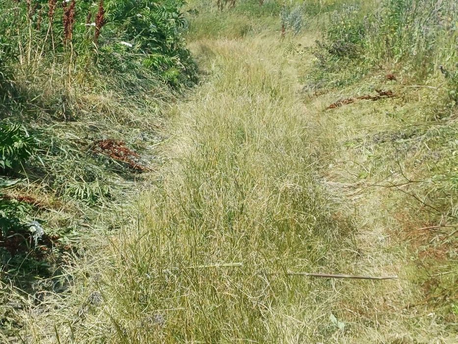 Продаж земельної ділянки в Луці-Мелешківській