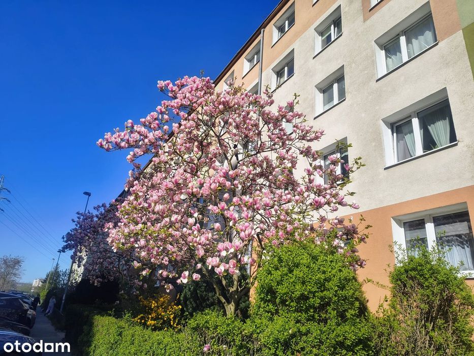 Zdjęcie 3