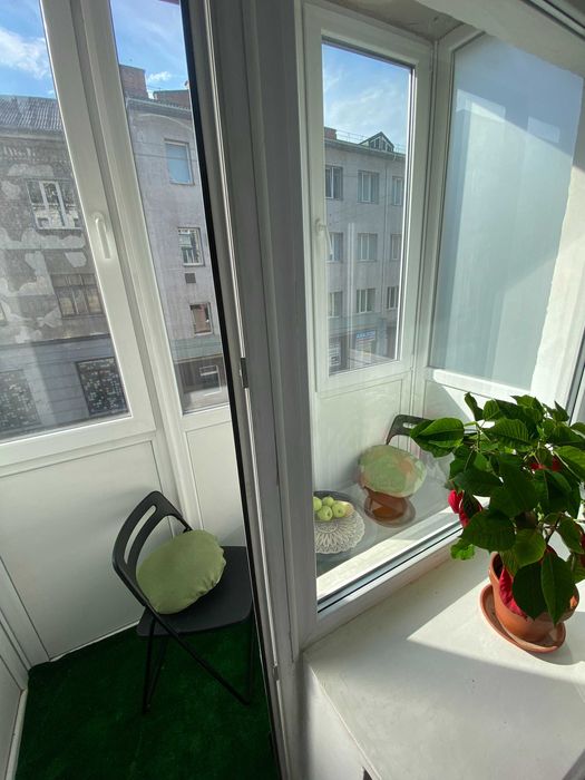 Центр. Вул. Замкова. Поруч парк та став. Власник. Подобово