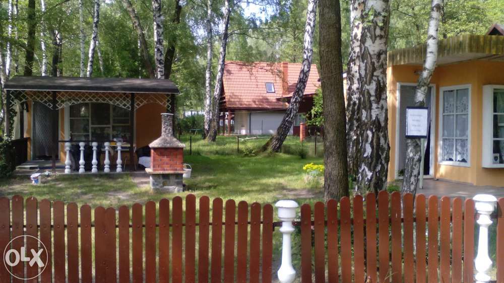 wynajme domki w Przydworzu