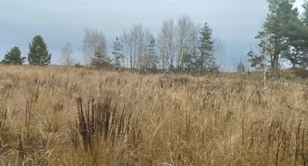 Продам заліснену земельну ділянку під базу відпочинку!!!