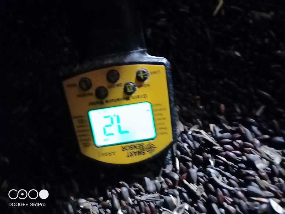 Zamiennik pellet lub ekogorszek