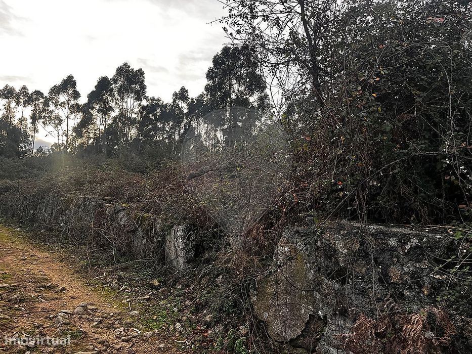 Terreno  para venda