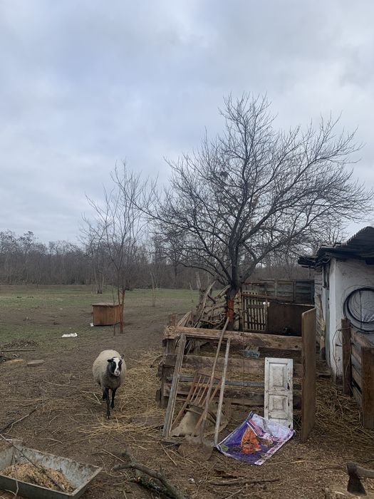 Помощь с жильем,питанием