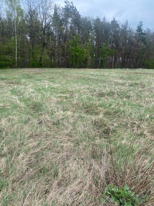działka budowlana granicząca z lasem