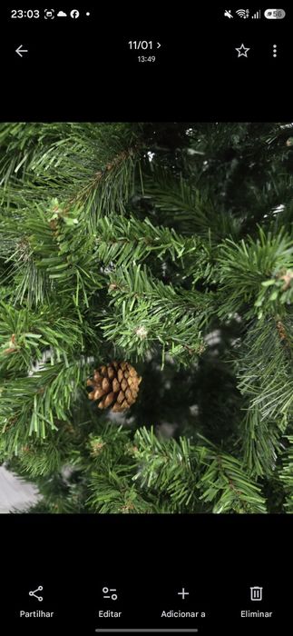 Arvore de Natal  210m