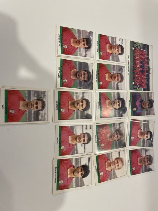 Cromos Salgueiros 1991