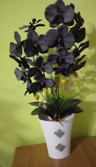 Storczyk na różne okazje