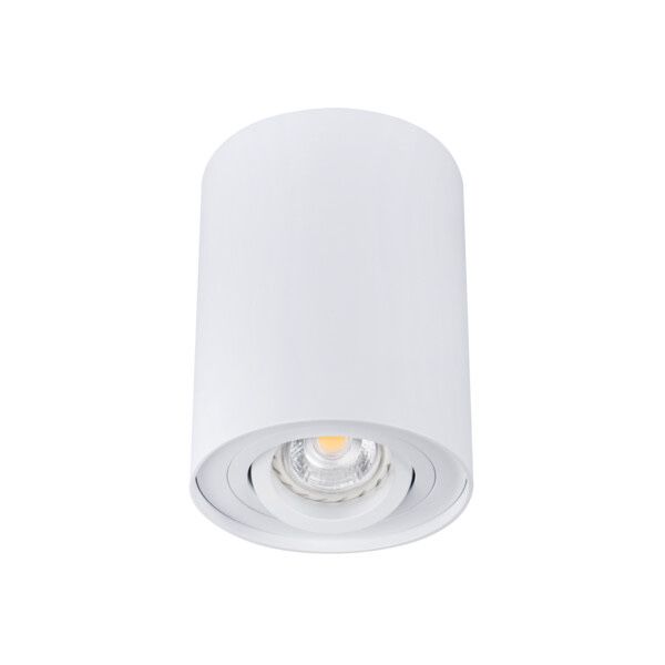 Oprawa sufitowa punktowa BORD biala DLP-50-W 2 SZTUKI
