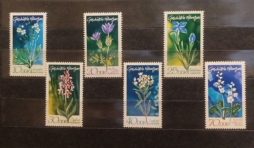 Znaczki Niemcy NRD 1970 flora kwiaty