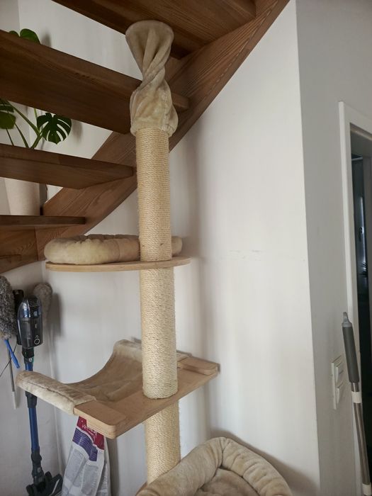 Drapak dla kota, sufitowy, rozporowy. Używany .