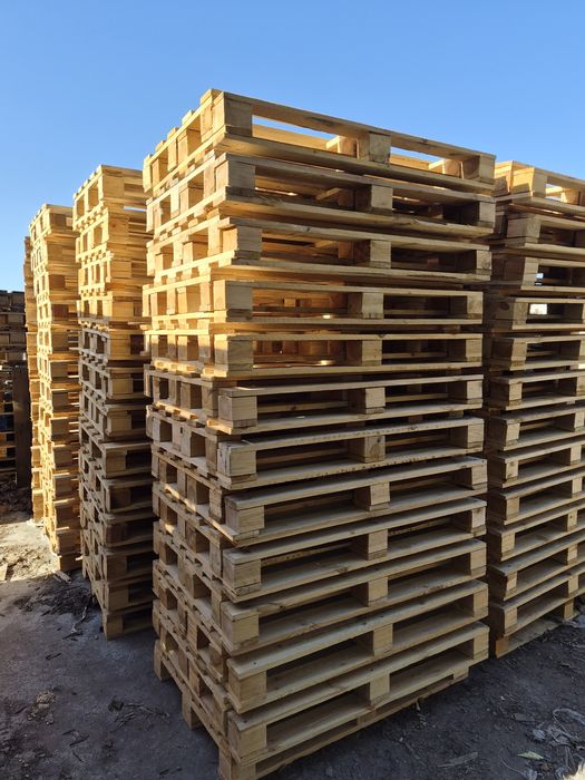 Paleta gruba nowa 1200x800