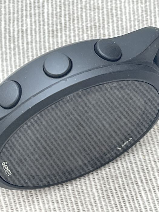 Garmin Forerunner 165