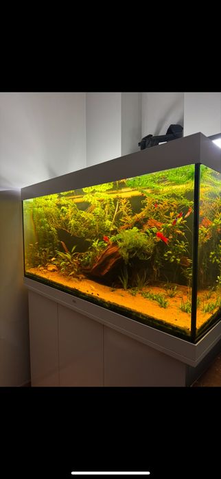 Akwarium juwel rio 350 pełen zestaw