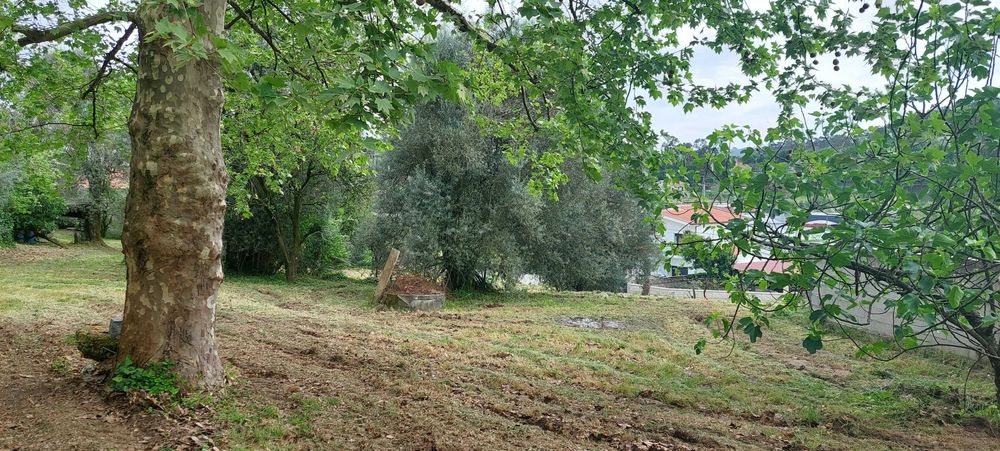 Quintinha Centenária em Pedra com 2.000 m² – Fonte Arcada, Póvoa de Lanhoso