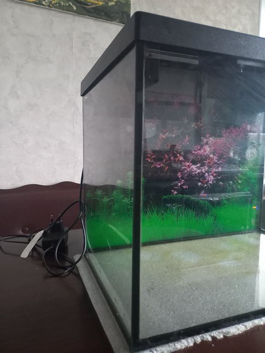 Акварюм новий стан 57