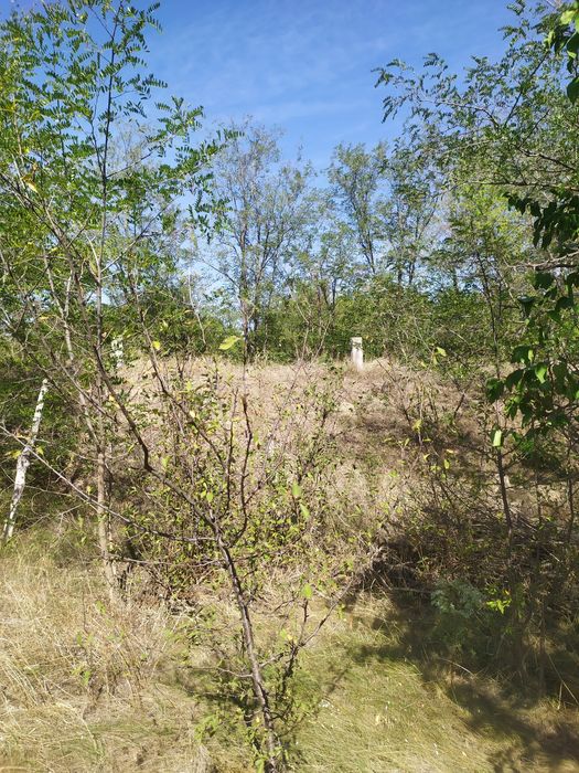 Приватізрованний дачний участок. 12,3.с. Натальевка.