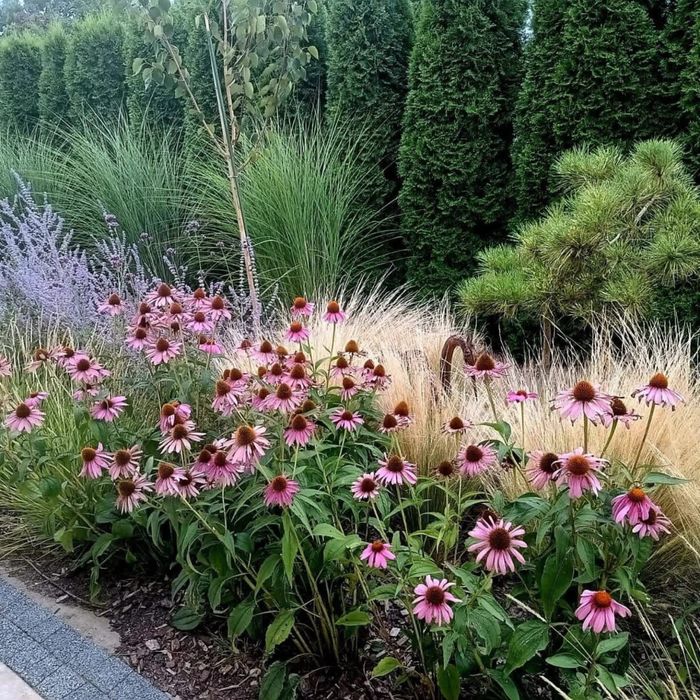 Zakładanie ogrodów pielęgnacja Trawnik Nawadnianie automatyczne