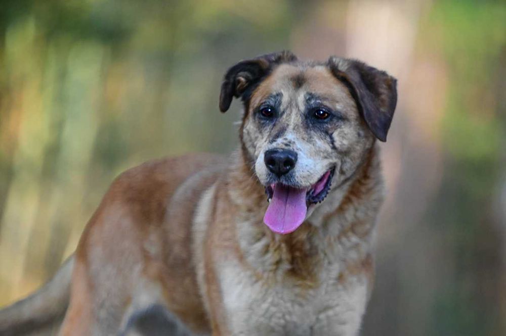 energiczna i mądra MELINDA