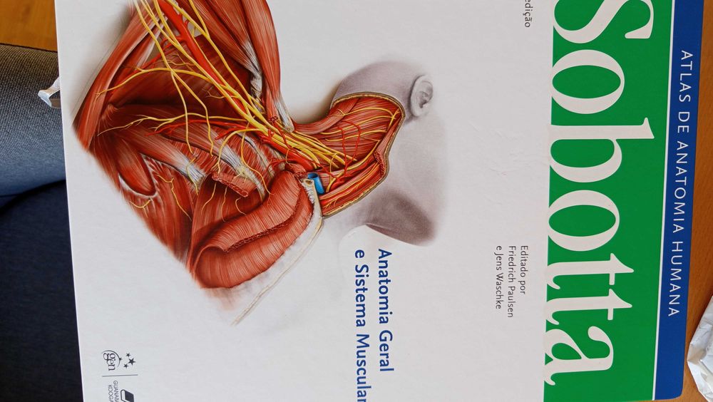 Sobotta -Atlas Anatomia Humana