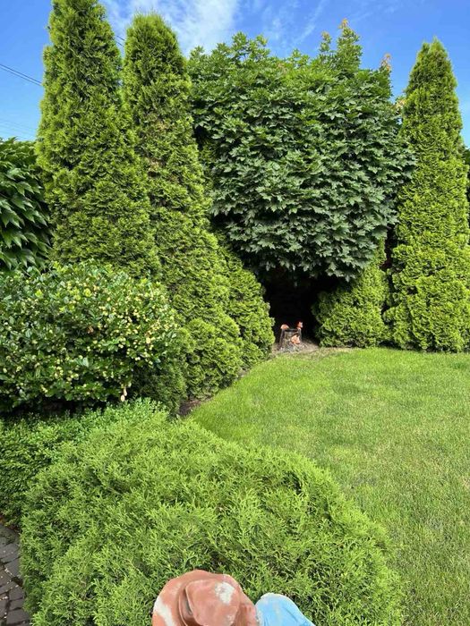 Облаштований, новий Будинок з меблями та технікою.