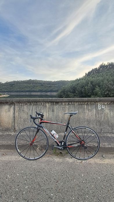 Specialized Roubaix Tam54