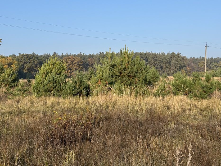 Продам 6 соток біля Броварів ,Нова Калинівка ,світло ,ліс,Перемога топ