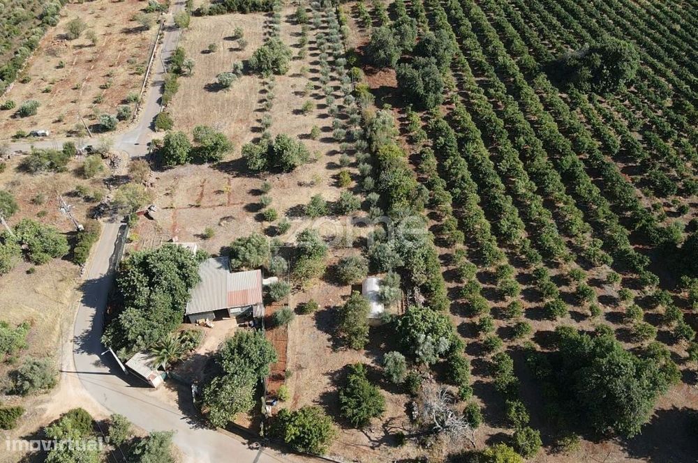 Terreno Rústico em Carrasqueiro, Paderne com 4.320m2