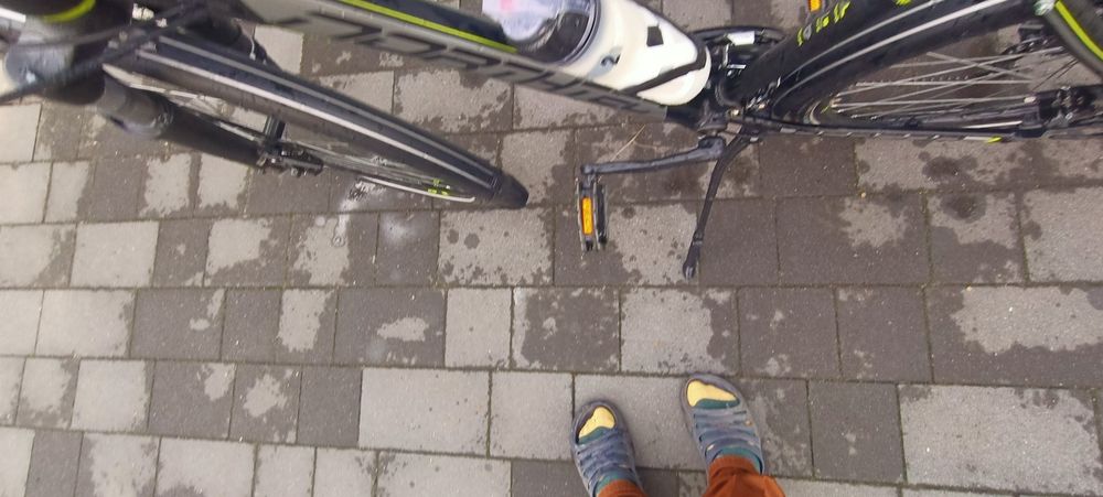 Rower northtec Bergon trekingowy meski.