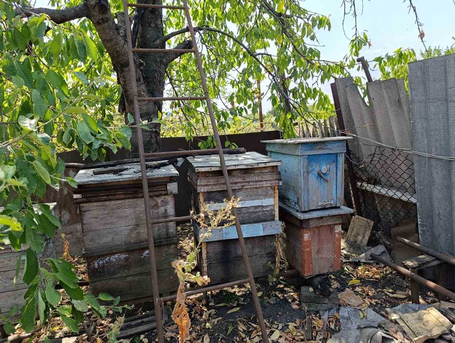 Продаж Вуликів для бджіл