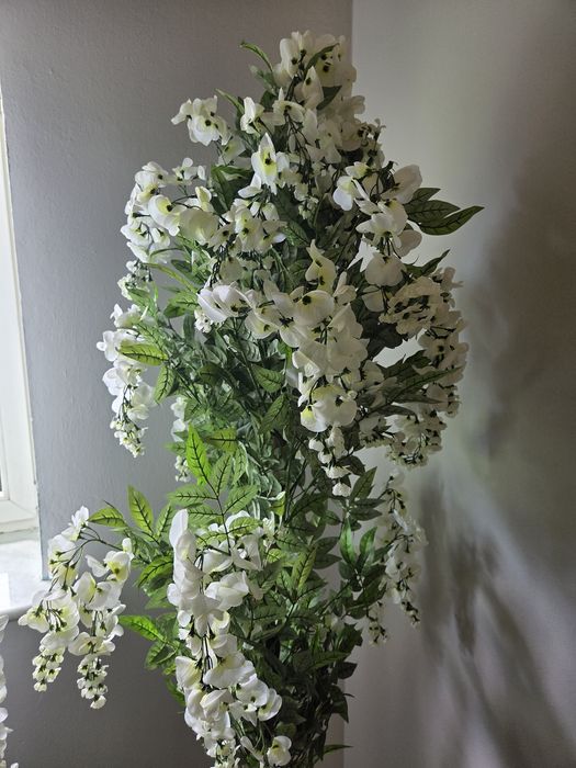 Drzewko Wisteria nowe 180 cm