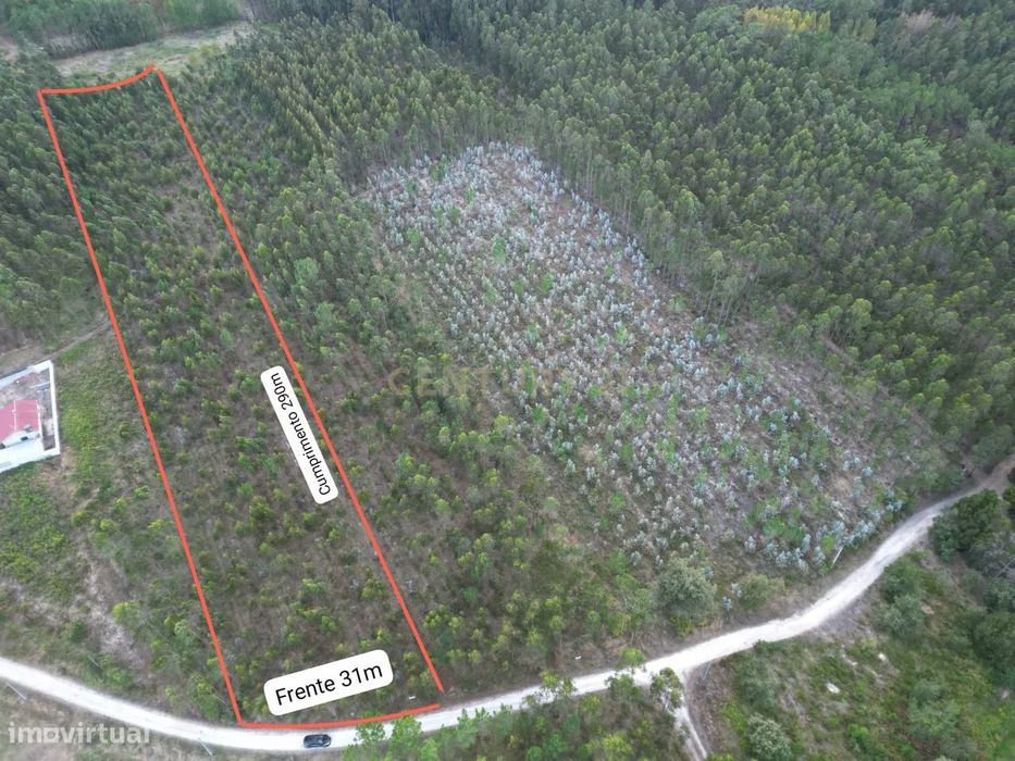 9,275 m² Plot for Sale – Investment Opportunity in a Green Area
