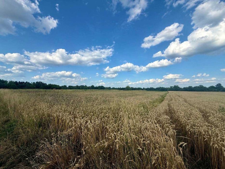 Продам ділянку під житлову забудову у с.Писарівка 7811