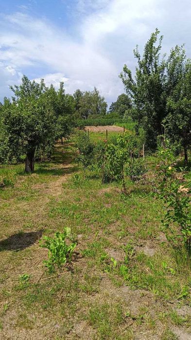 Будинок у гарному місці