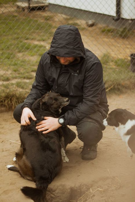 Zdzisława młoda, kochana suczka szuka domu! | MASZ NOSA