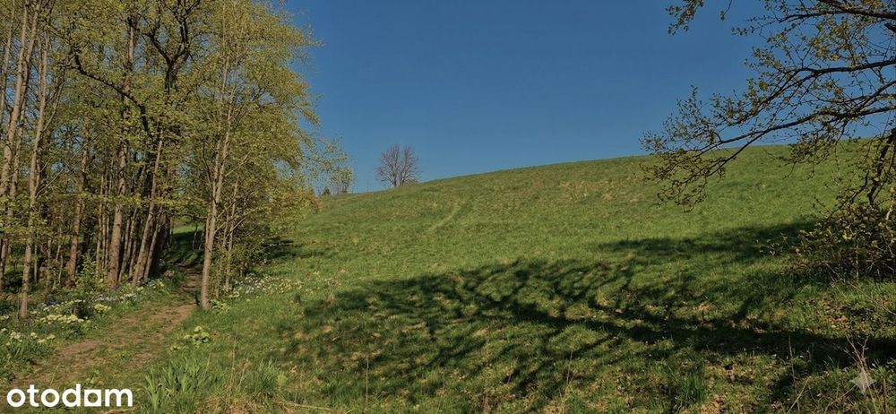 "SUDECKIE BIESZCZADY" Piękna działka w górach! Masyw Śnieżnika JODŁÓW - Widok 5
