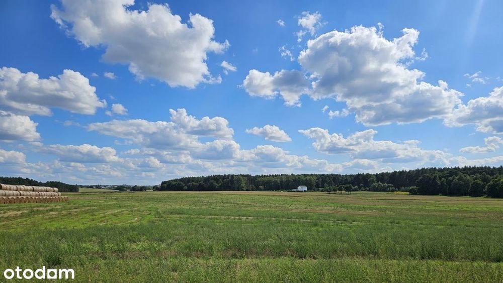 Szwajcarski klimat pod Poznaniem. Wyjątkowy teren, działki budowlane. - Widok 2