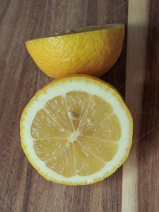 Vendo limões 2 euro/kg