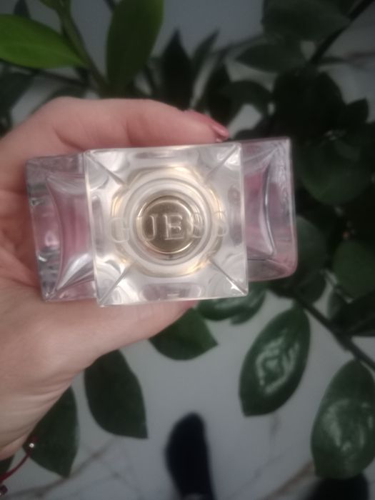 Guess seductive kiss