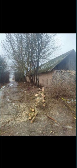 Видалення аварійних дерев,розпил дров,розчищення територій