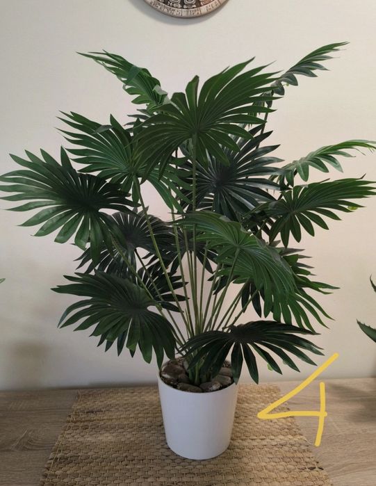 Ładny duży kwiat do dekoracji