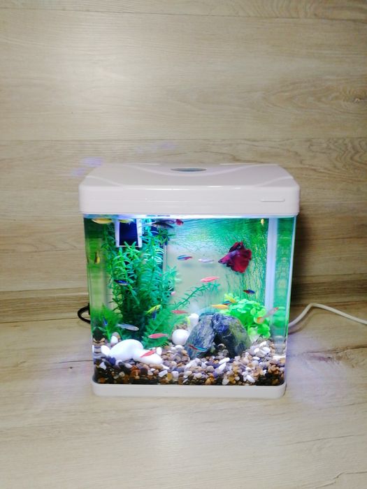 Акваріумний набір з рибками 10л | Доставка Київ