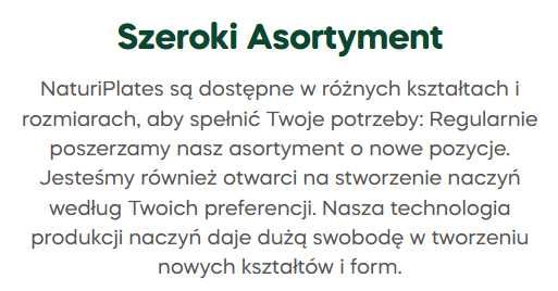Taca prostokątna z liści palmowych catering 37cm 10szt PREMIUM