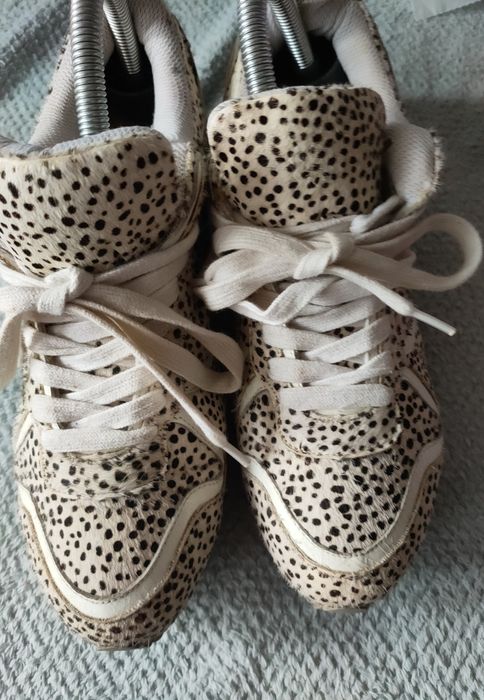 Buty Sneakersy Jeffrey Campbell Ibiza Premium Skóra R. 39