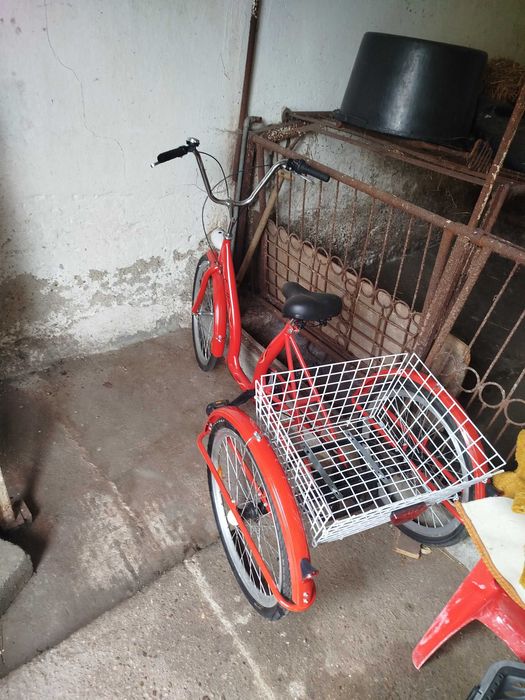 Rower trójkołowy dla dorosłych